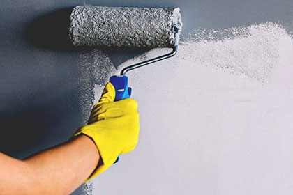 Interior & Exterior Wall Paint Service