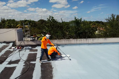 Roof painting